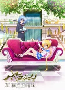 Hayate no Gotoku! Can’t Take My Eyes Off You Sub Indo