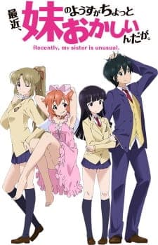 Saikin, Imouto no Yousu ga Chotto Okashiinda ga. Sub Indo