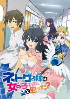 Netoge no Yome wa Onnanoko ja Nai to Omotta? Sub Indo