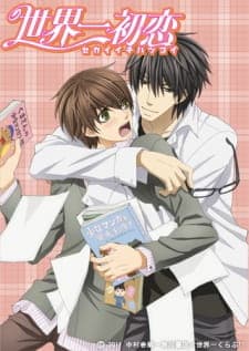 Sekaiichi Hatsukoi Season 1 Sub Indo