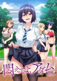 Modaete yo, Adam-kun Sub Indo