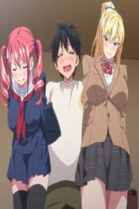 Sister Breeder Sub Indo