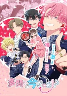 Tamon-kun Ima Docchi!? Sub Indo