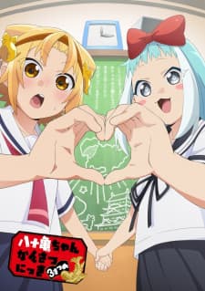 Yatogame-chan Kansatsu Nikki Sansatsume Season 3 Sub Indo