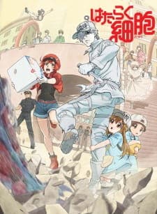 Hataraku Saibou (TV) Sub Indo