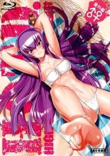 Highschool of the Dead: Drifters of the Dead Sub Indo