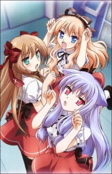 Mayoi Neko Overrun! Sub Indo