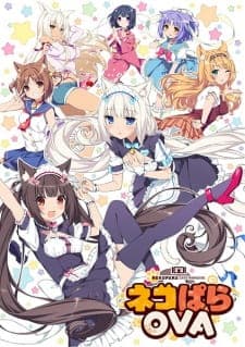 Nekopara OVA Sub Indo