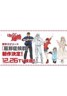 Hataraku Saibou: Kaze Shoukougun Sub Indo
