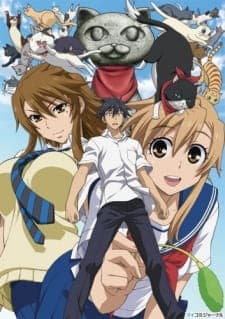 Nyan Koi! Sub Indo