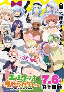 Elf-san wa Yaserarenai. Sub Indo